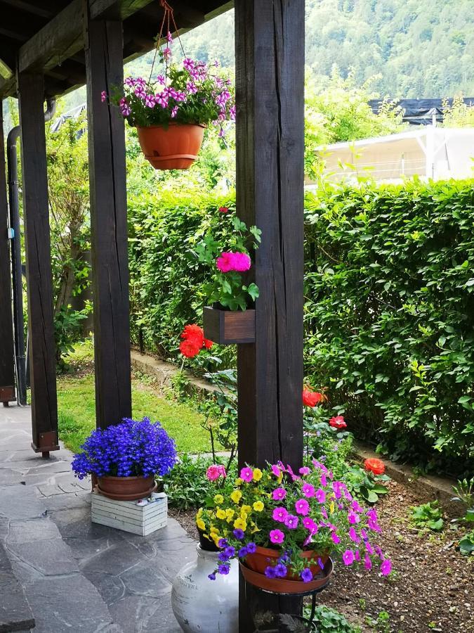 Appartamenti Casa Viviana Pergine Valsugana Kültér fotó