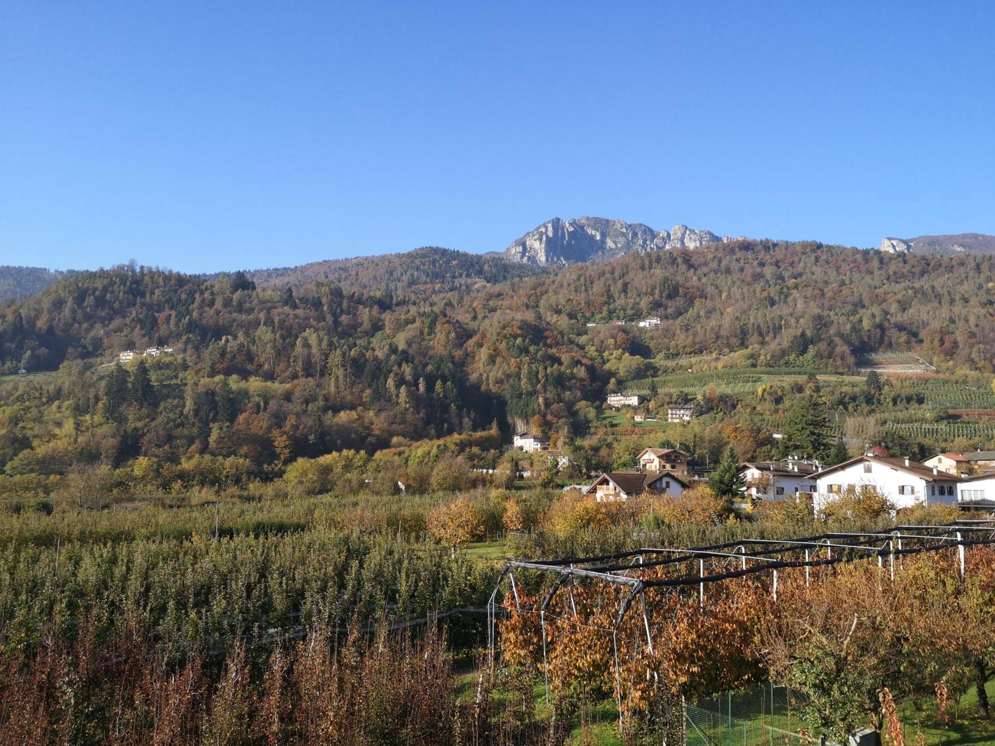 Appartamenti Casa Viviana Pergine Valsugana Kültér fotó